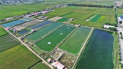 致富 新法宝