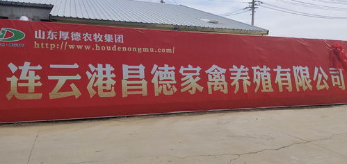 重要新闻 南通通州区连云港赣榆区南北企村挂钩结对 开花结果 南通双和食品赣榆昌德养殖基地落户赣榆区