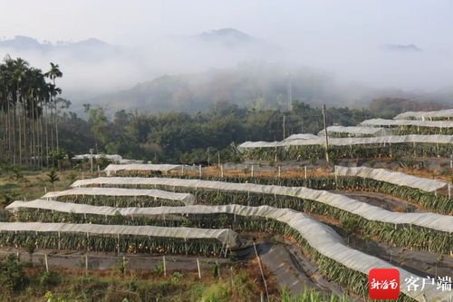 琼中举办2024年首次基层党建工作现场会 探讨红毛镇全域旅游好经验