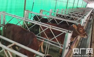 以互联网分享思维开启产业扶贫新途径