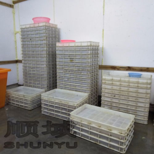 【湛江顺域水产500亩大型沙蚕养殖基地】-