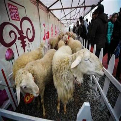 价格 厂家 中国供应商