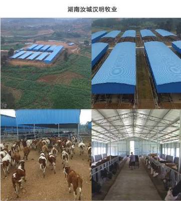 "联合养殖"浪潮正盛,牧牛宝把鸡牛养殖搬上网,与万人共享农业红利