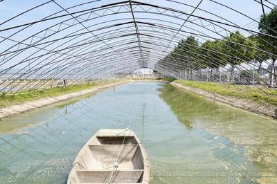 践行“两山”理念,让美丽乡村好景常在