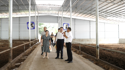 省农业农村厅在调研