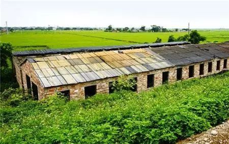 农民朋友注意了 下半年国家将在农村推行 四拆 动作