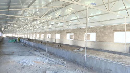 盘州一千头规模的黄牛养殖基地即将建成