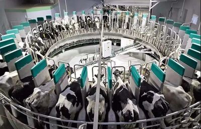 重注产业链!乳企加码布局,这4大趋势不可忽视!