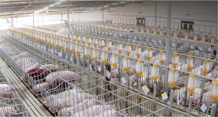 南充市嘉陵区深挖地域特色资源，助力'嘉陵造'地标产品养殖基地申报