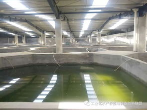 句句精华 陈海龙教你认识什么是工厂化水产养殖系统