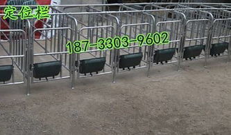 精品推荐 泊头市宏基养殖设备厂，打造高效现代化养殖基地