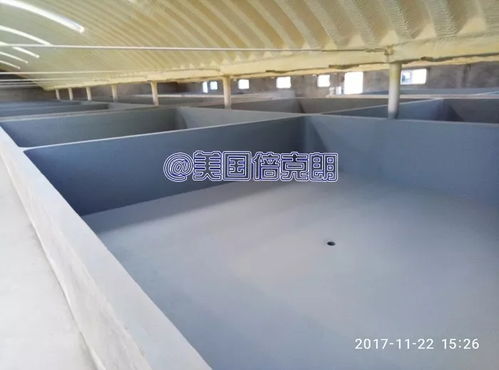 倍克朗携手鑫海水产 共筑沧州养殖漆示范基地新标杆